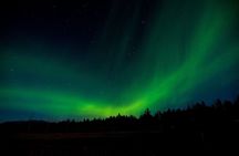 Aurora Borealis Quest: Private Yukon Nighttime Tour