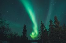 Aurora Borealis Quest: Private Yukon Nighttime Tour