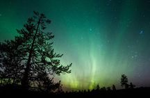 Aurora Borealis Quest: Private Yukon Nighttime Tour