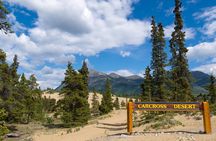Yukon Escapade: Lakes, Wilderness, and Hidden Gems