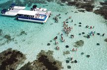 Stingray City Antigua for all the ages - ROUND TRIP INCLUDED