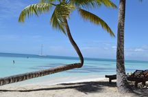 Private Isla Saona Boat Tour – Snorkeling Premium Drinks & Buffet
