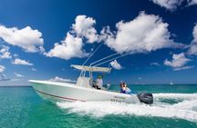 Private Isla Saona Boat Tour – Snorkeling Premium Drinks & Buffet