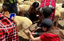 Maasai Village Experience Day Tour
