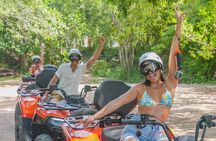 Atv Turtles and Cenote 