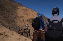 Ride in the semi-private Andes with roast