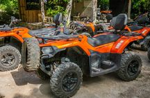 Atv Turtles and Cenote 
