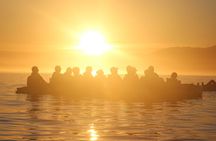 Sunset Kayak tour in Kaikoura