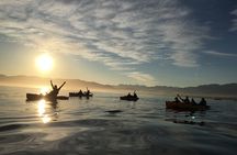 Sunset Kayak tour in Kaikoura
