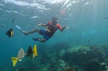 Snorkel Tour in private Trimarán in Los Cabos