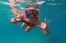 Snorkel Tour in private Trimarán in Los Cabos