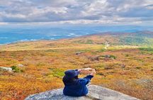 Busan Private Hiking Tour : Panoramic Views Awaits