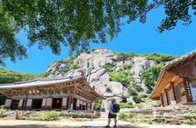 Busan Private Hiking Tour : Panoramic Views Awaits