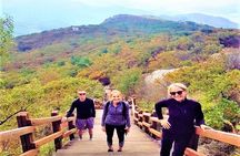 Busan Private Hiking Tour : Panoramic Views Awaits