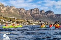 Kayak Adventure at Clifton Beach