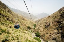 Taif Full Day Tour with Lunch From Jeddah and Makkah