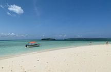 Zanzibar Dolphin Tour, Sandbank & Snorkeling at Pungume Island 
