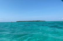 Zanzibar Dolphin Tour, Sandbank & Snorkeling at Pungume Island 