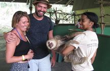 Aerial Tram & Sloth Sanctuary in the Rainforest