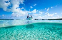 Excursion to Tetiaroa by Catamaran Visit Lunch Snorkeling