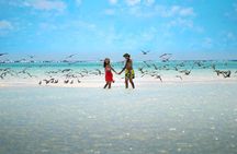 Excursion to Tetiaroa by Catamaran Visit Lunch Snorkeling