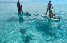 Private Excursion with E-Board in Moorea and snorkeling