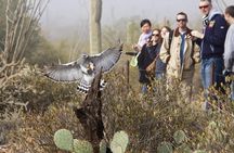 Custom Tucson Day Tour from Phoenix