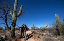 Custom Tucson Day Tour from Phoenix