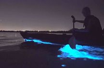 Auckland Bioluminescence Kayak Tour