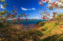 Duder Regional Park Half-Day Walking Tour