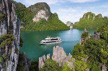 Halong bay Luxury Cruise Day Trip: Buffet lunch & Limousine bus