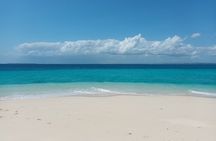 Full day private Nakupenda bis / Nyange Sandbank in Zanzibar