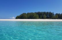 Early dolphin Tour and Snockling at mnemba and Turtle Sanctuary 