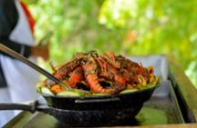 Paradise and Pigs Full Day Excursion from Puerto Plata with Lunch