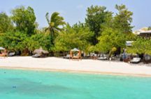 Paradise and Pigs Full Day Excursion from Puerto Plata with Lunch
