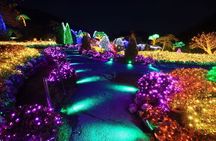 Strawberry & Eobi Valley & Nami Island & Garden of Morning Calm