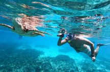 Snorkeling Adventure to Daymaniat Islands