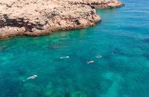 Daymaniat Islands Guided Snorkeling Adventure from Muscat