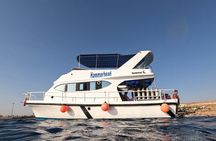Snorkeling Activity in Aqaba with Lunch and Transportation (Boat)