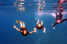 Snorkeling Activity in Aqaba with Lunch and Transportation (Boat)
