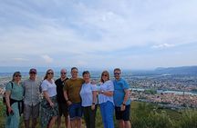 Guided Day Tour and Wine Tasting Northern Rhône Valley