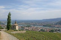 Guided Day Tour and Wine Tasting Northern Rhône Valley