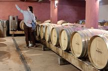 Guided Day Tour and Wine Tasting Northern Rhône Valley