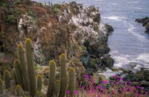 Private Garden Tour in Central Coast of Chile with Lunch included
