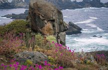 Private Garden Tour in Central Coast of Chile with Lunch included