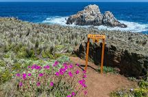 Private Garden Tour in Central Coast of Chile with Lunch included