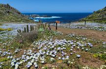 Private Garden Tour in Central Coast of Chile with Lunch included