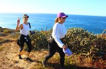 3 Hour Hiking Activity at the Hidden Arch Of Los Cabos