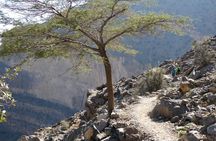 Private Day Tour to Nizwa and Jabal Shams in Grand Canyon of Oman