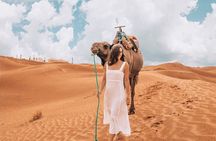 4-Day Private Desert Tour from Fes To Marrakech